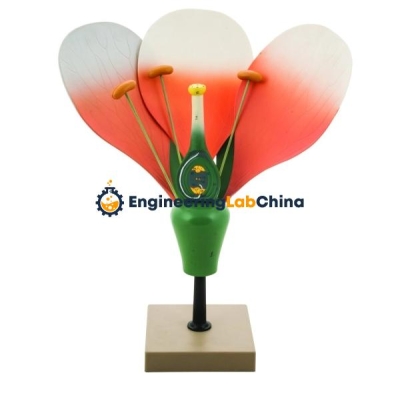 School Biology Plant Laboratory Equipment Lab