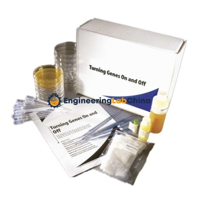 School Biology Inheritance and Genetic Lab