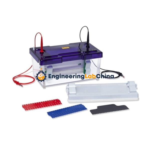 Double Gel Electrophoresis Apparatus Suppliers in China