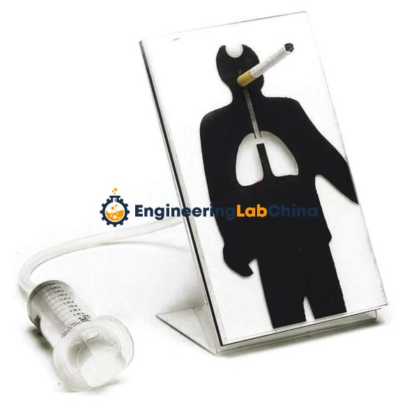 Effects of Smoking Model Suppliers in China