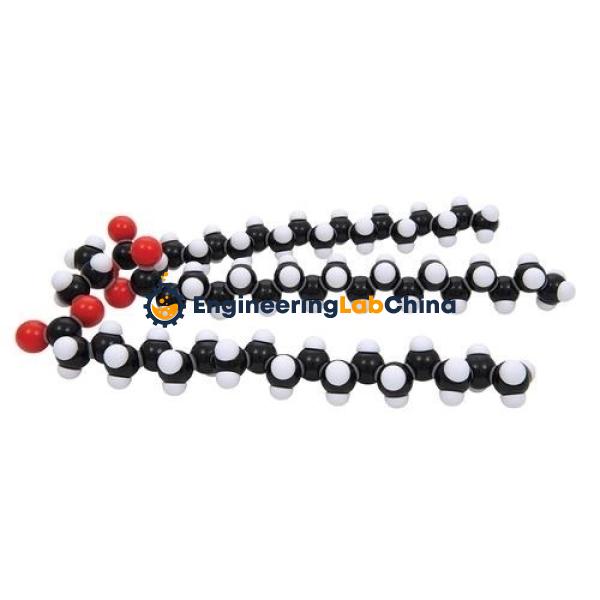 Fat Glyceryl Tristearate Molecular Model Kit Suppliers in China