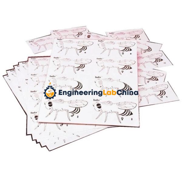 Fruit Fly Genetics Kit Suppliers in China