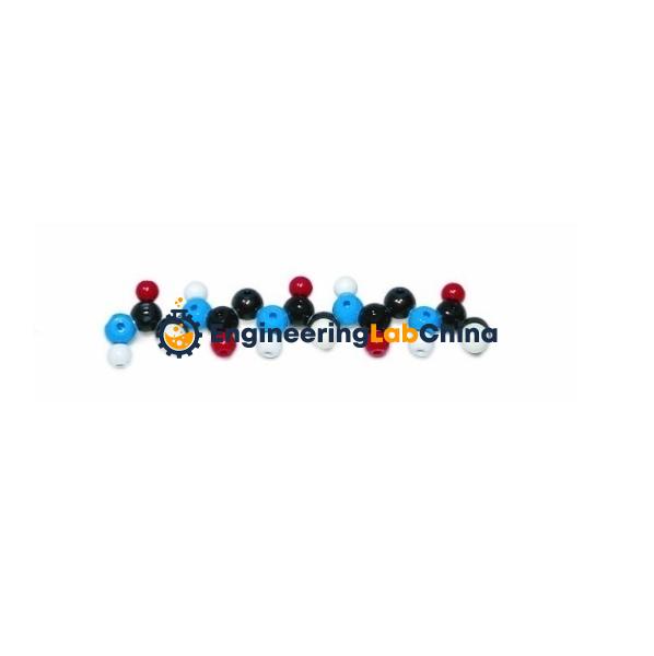 Polypeptide Molecular Model Kit Suppliers in China