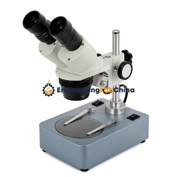 Stereo Microscope