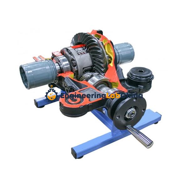 Working Model of Torsion Differential